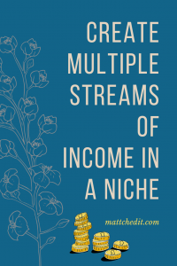 How to Create Multiple streams of Income In a Niche